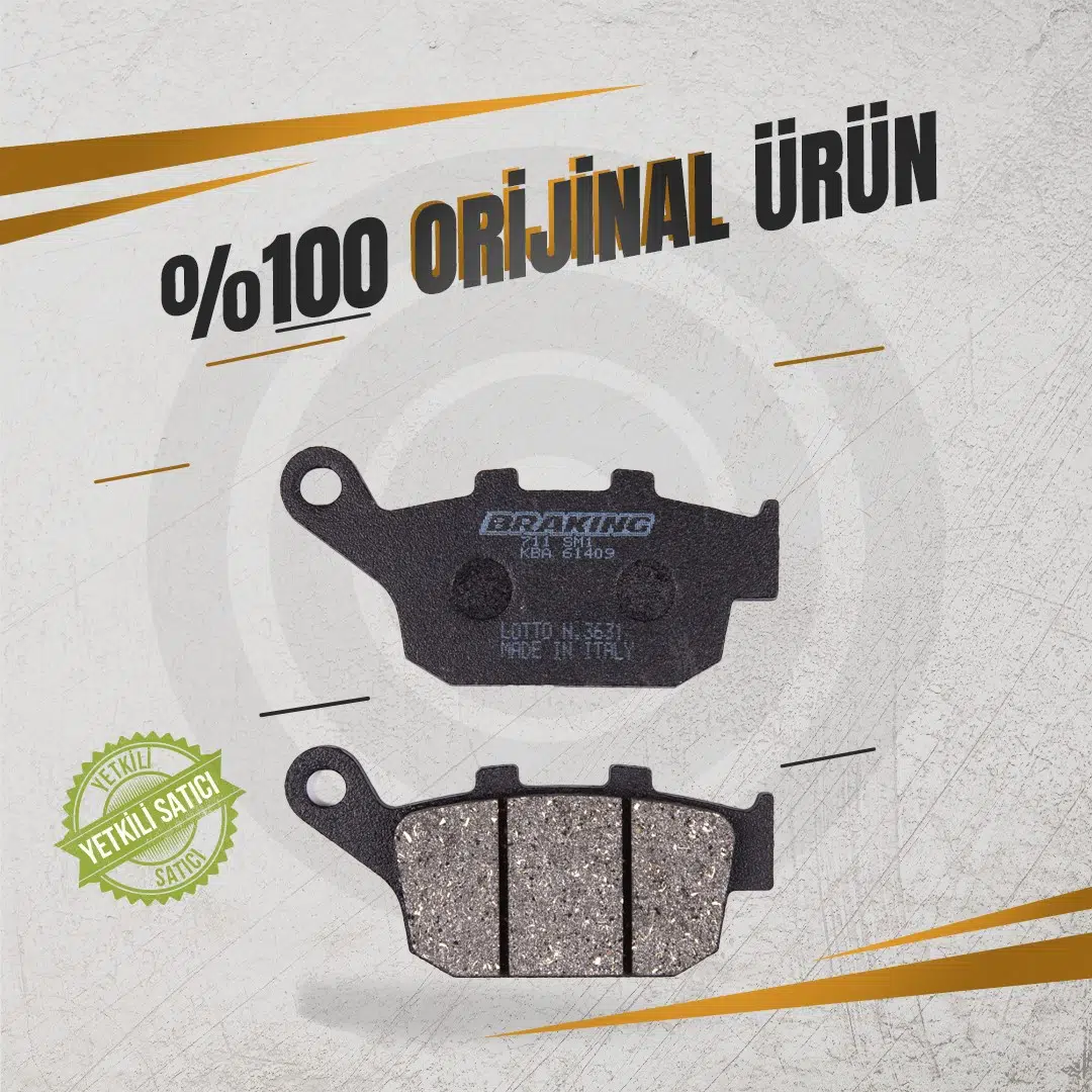 BRAKİNG HONDA FORESİGHT 250 (2000-2007) YARI METALİK ARKA FREN BALATASI