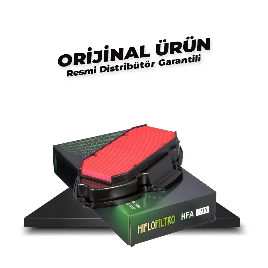 Hiflo Honda Nc750s Dct (2014-2020) Hava Filtresi